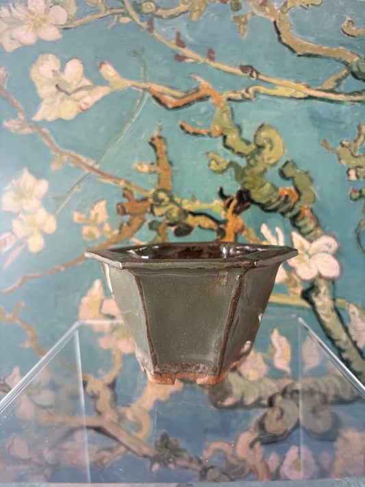 Green pot