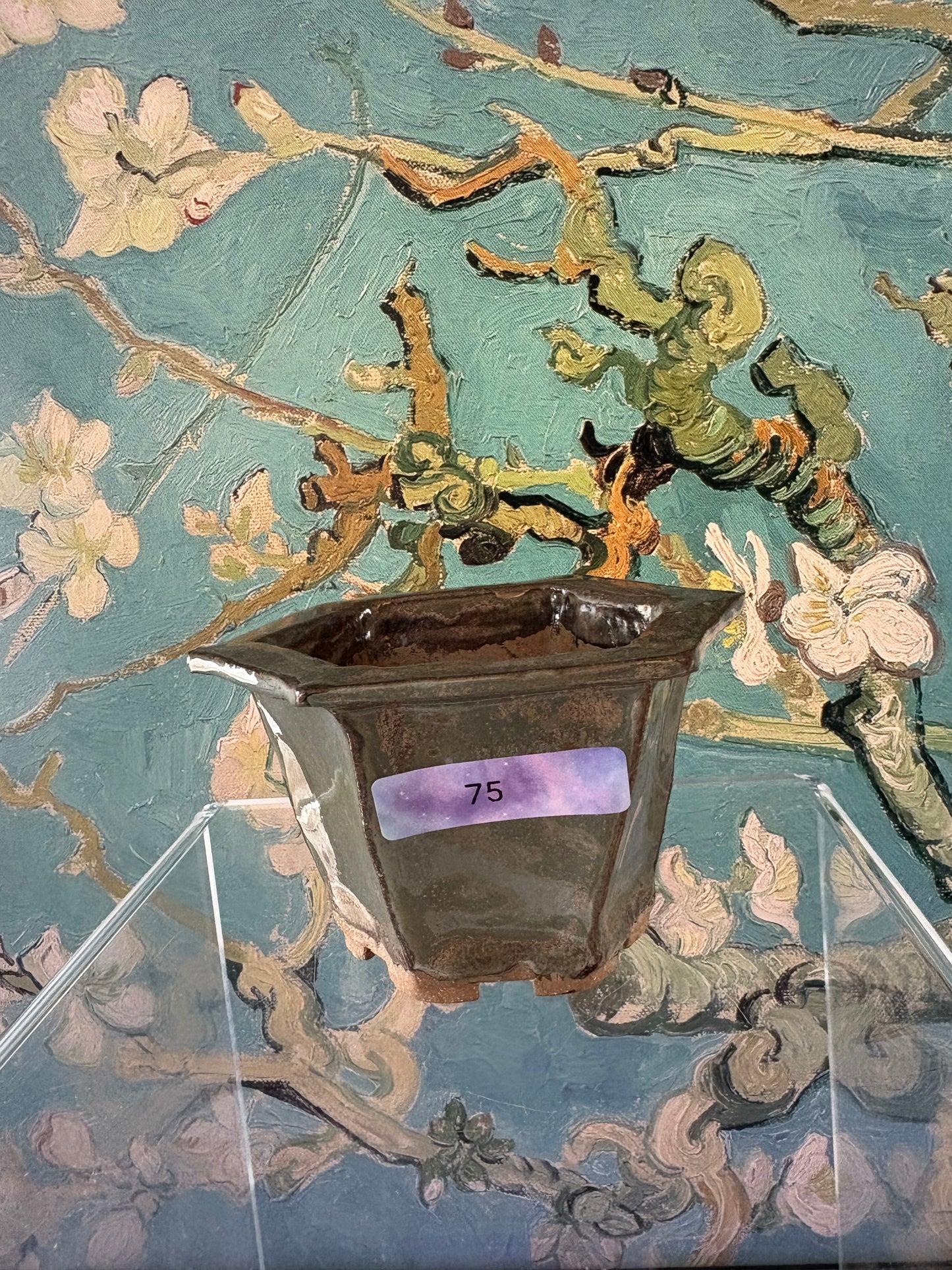 Green pot
