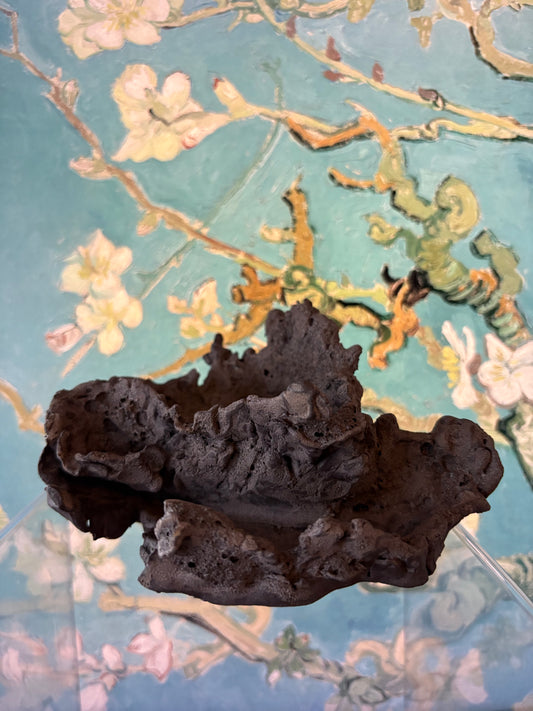 Rock pot